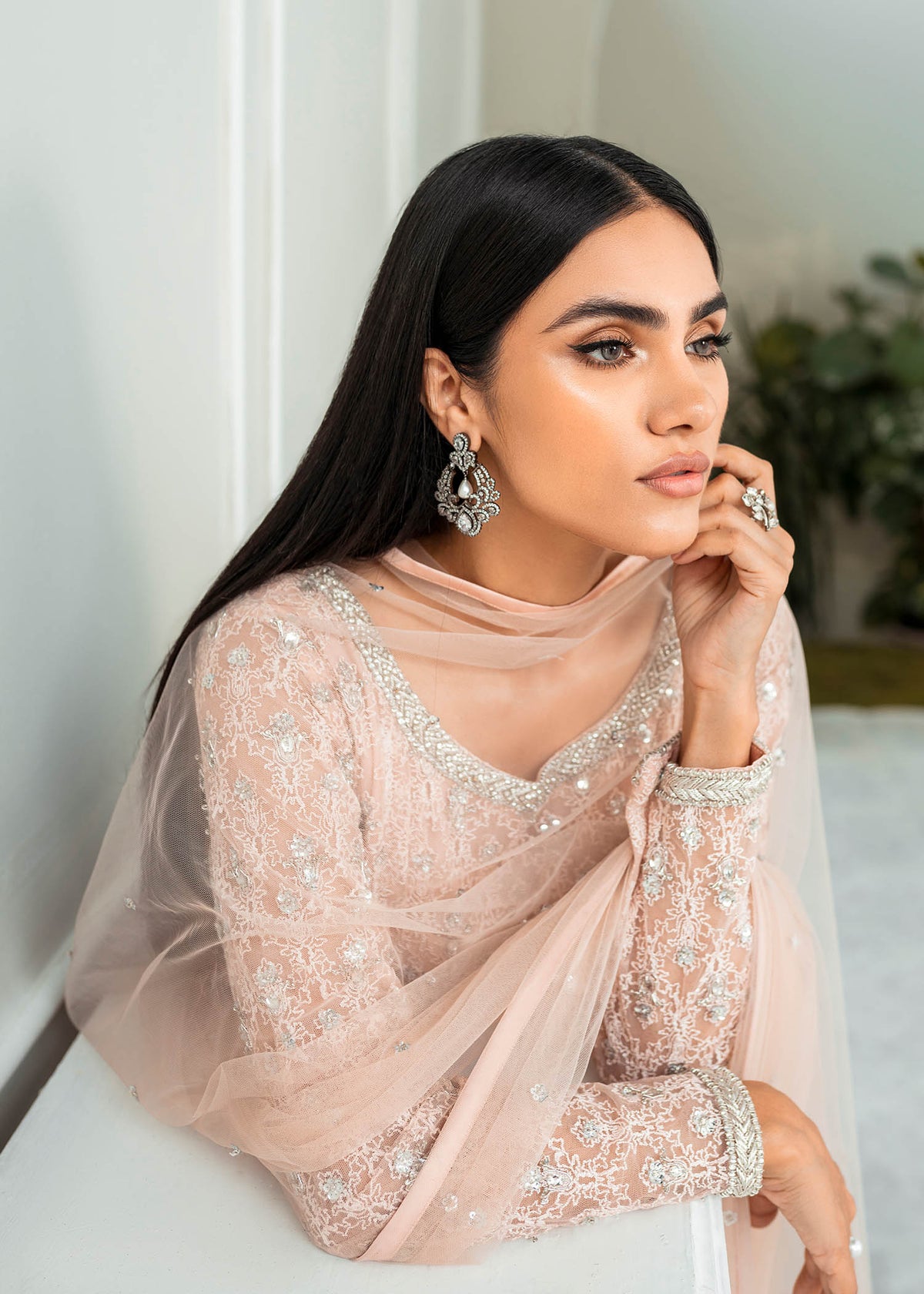 Blush Rose
