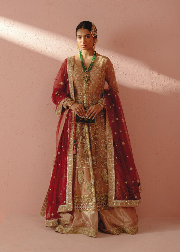 Aisha MahGul