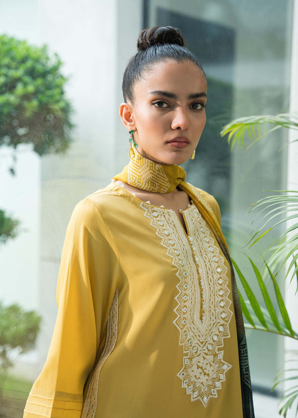 Daffodil MahGul