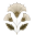 Mahgul